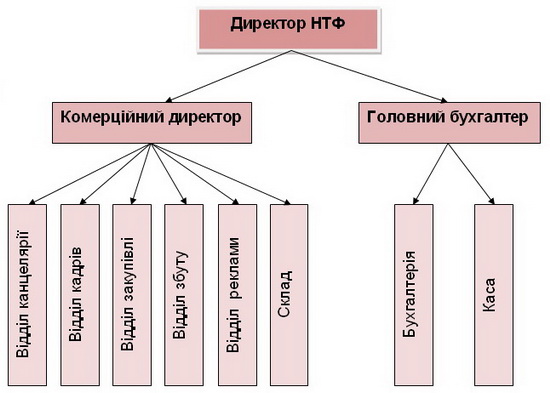 Організаційна структура НТФ «Іва»
